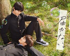 徐州网站建设目标优化